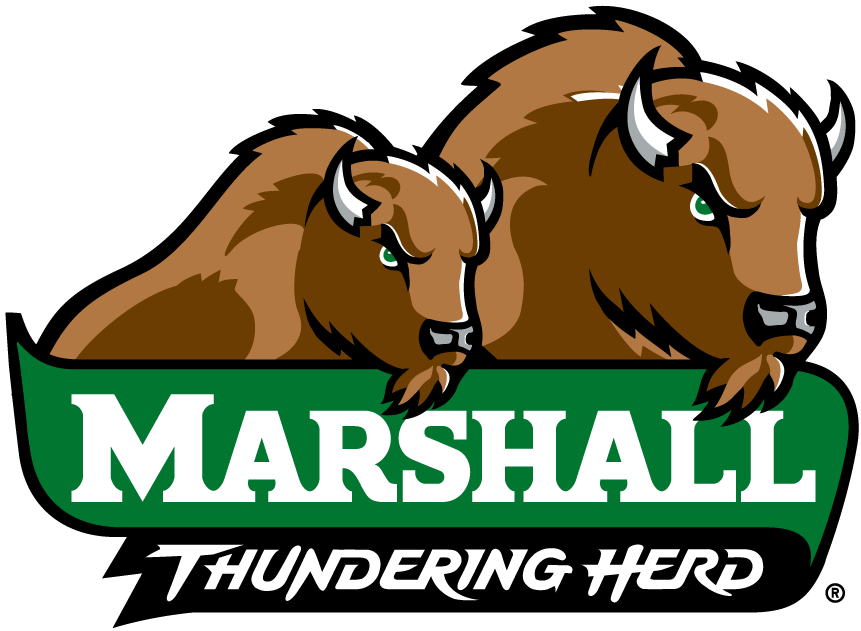 Marshall Thundering Herd 2001-Pres Alternate Logo 10 iron on paper